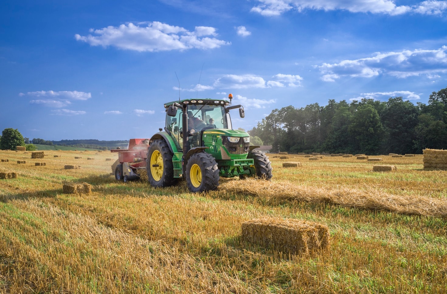 A importância da nutrição vegetal no crescimento sustentável