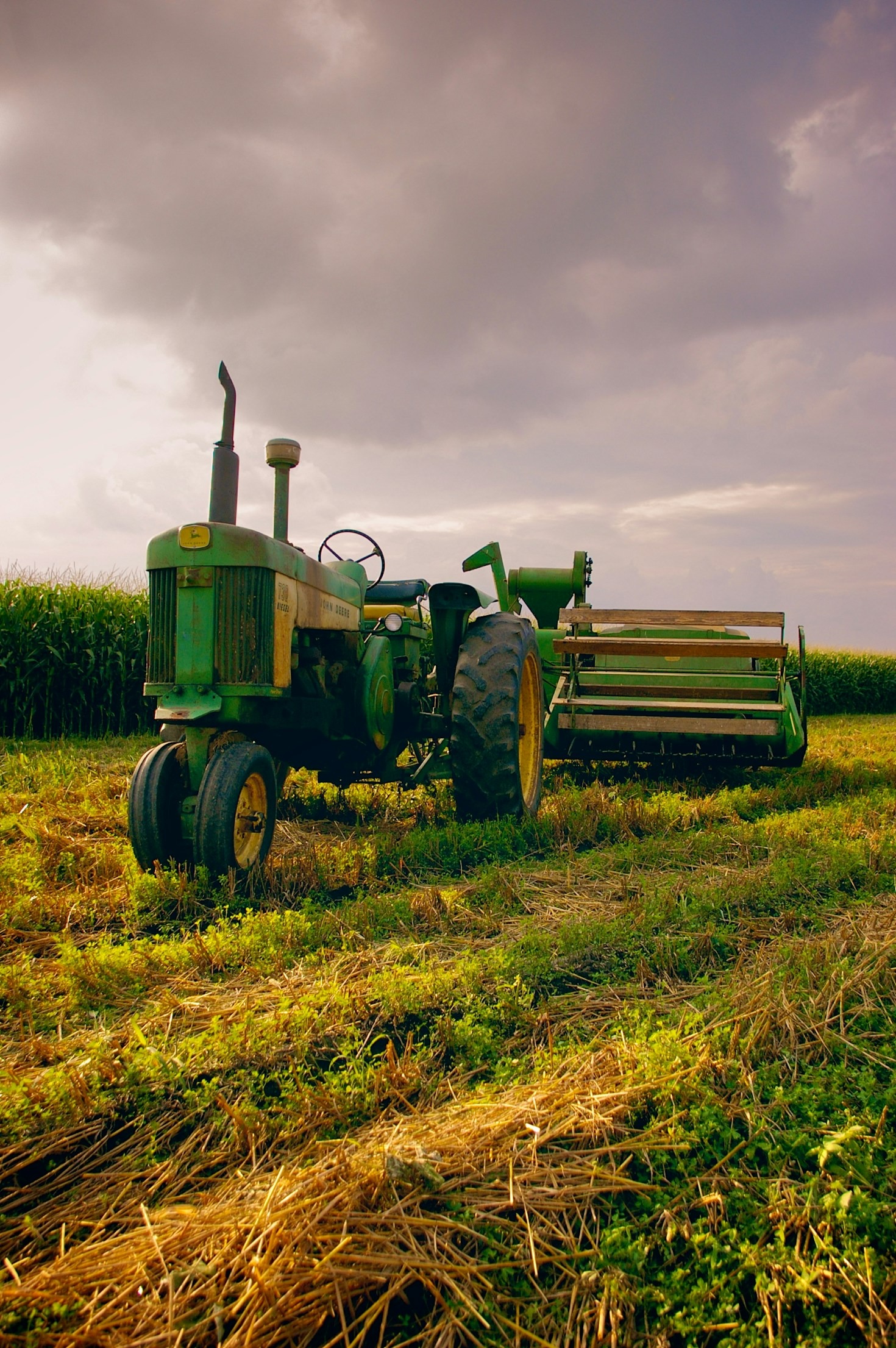 Dicas para melhorar o desempenho das culturas agrícolas